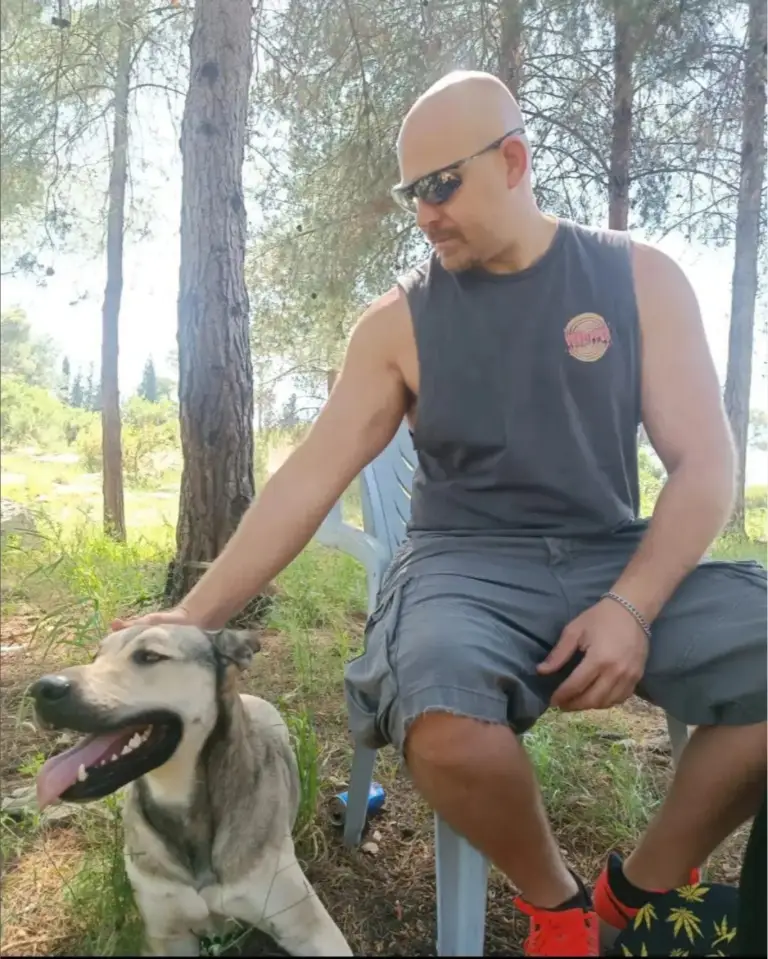 Screenshot 2024-10-25 at 14-43-43 Sefi Sarniewicz (@sefi.dog.trainer) • Instagram photos and videos