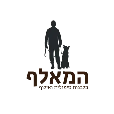 לוגו בדיקה