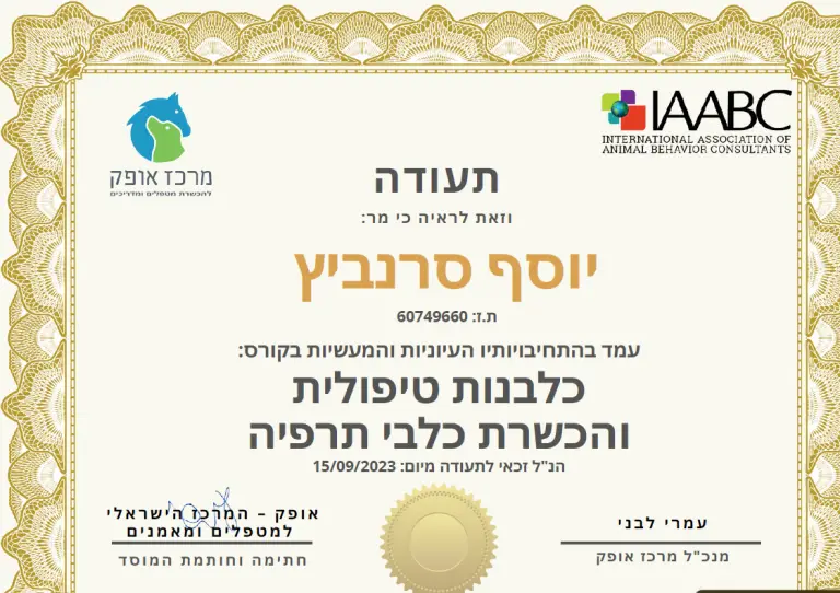 תעודה כלבנות טיפולית