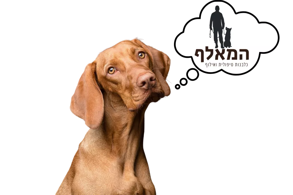 ספי המאלף